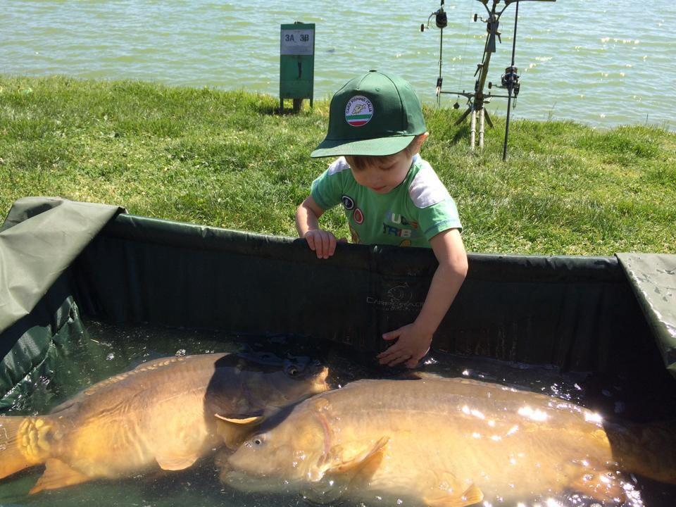 Lacul Mandarino ( Italia ) - image111111111111111111111111.jpg